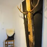 Alpenhirsch *